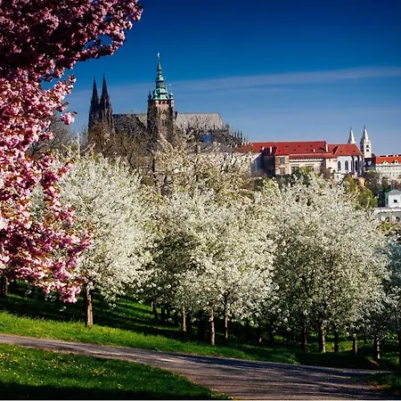 Royal By Michal&friends Appartamento Praga